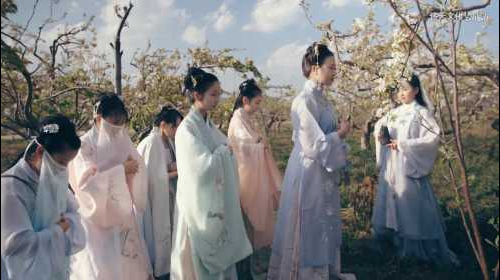 菩提雪乙亥年春日宴遊記