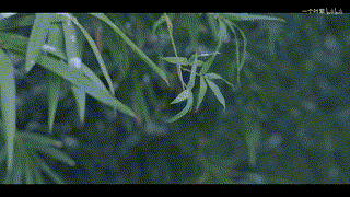 武漢下雪小區門口拍的一組漢服視頻